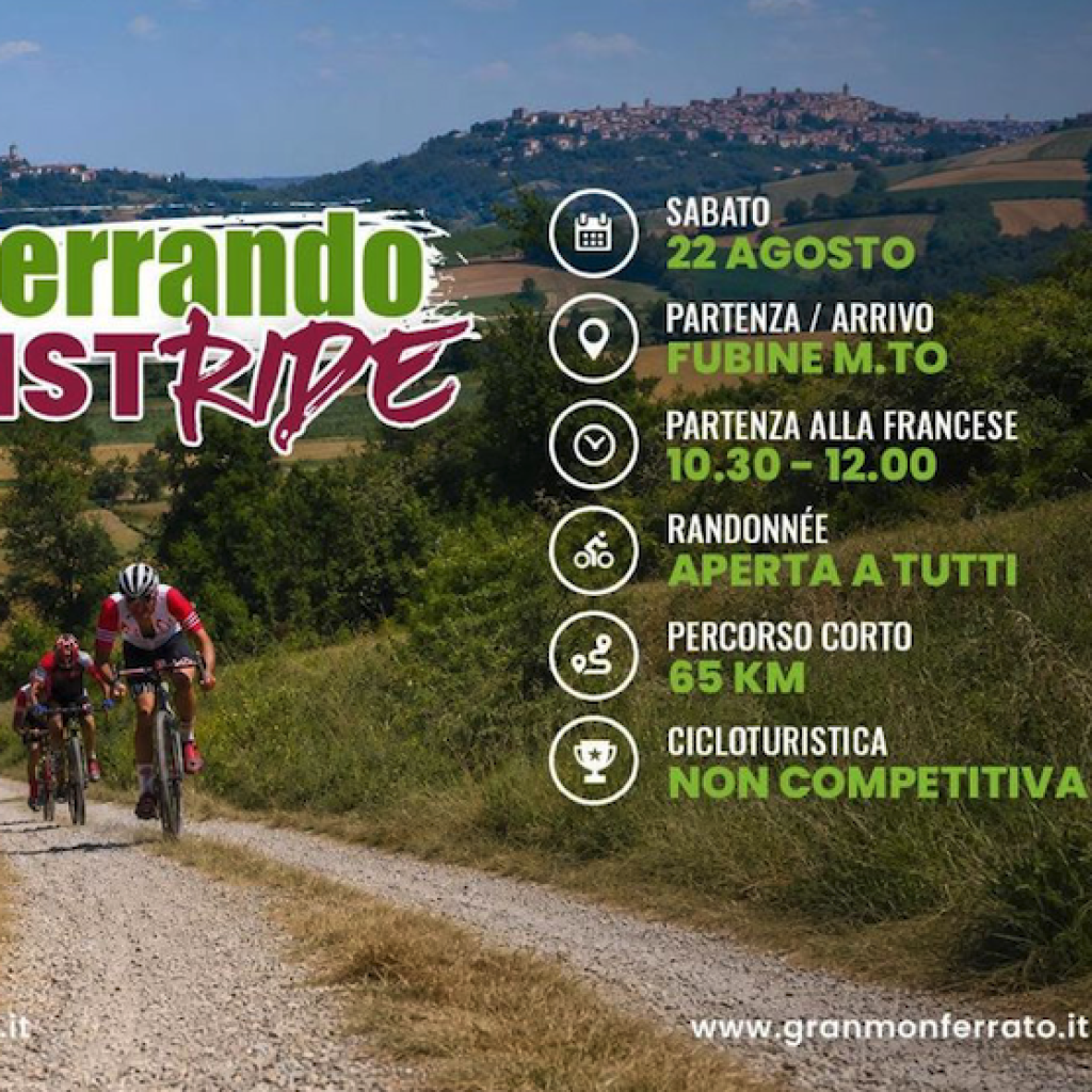 Novita del 2026 - 