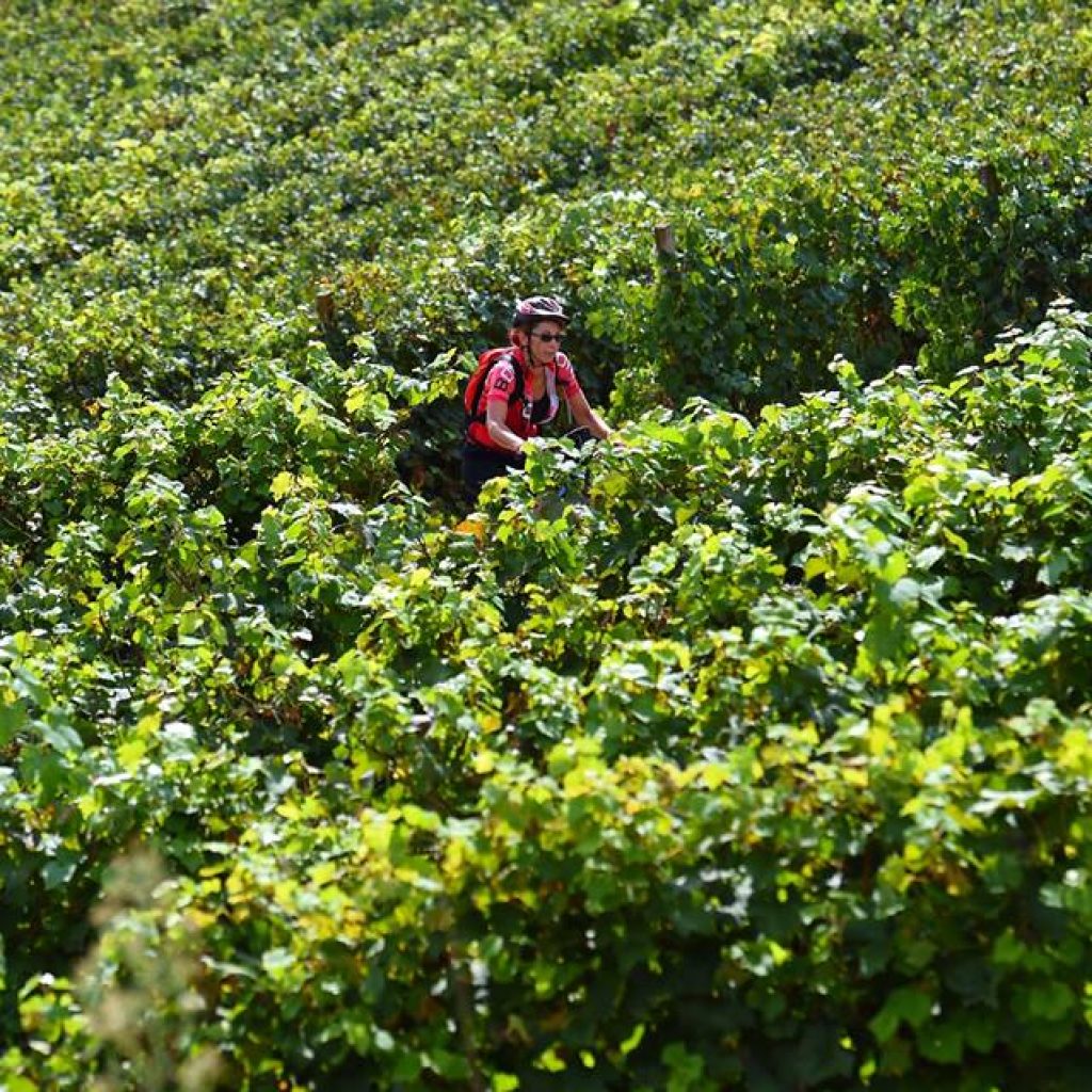 Il Consorzio Barbera d’Asti e Vini del Monferrato con 2024 Monsterrando Barbera d’Asti UCI Gravel World Series